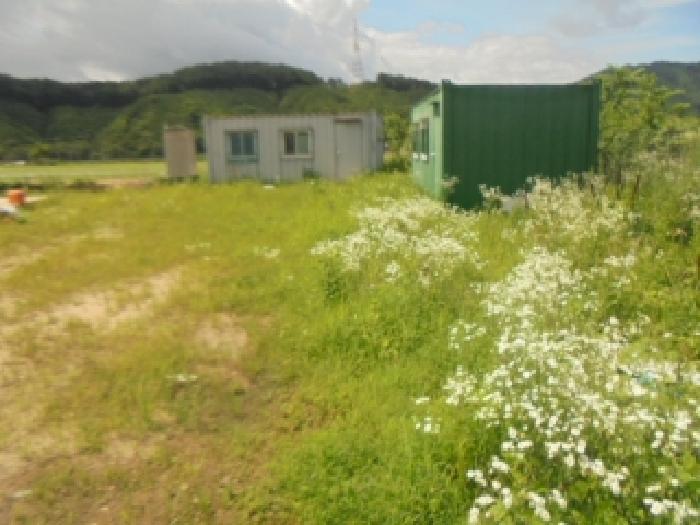 충북 충주시 엄정면 전 경매 물건 사진