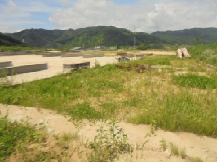충북 충주시 엄정면 전 경매 물건 사진 5 · 2025타경1319
