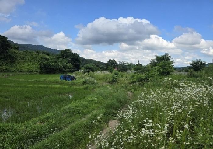 충북 음성군 음성읍 답 경매 물건 사진