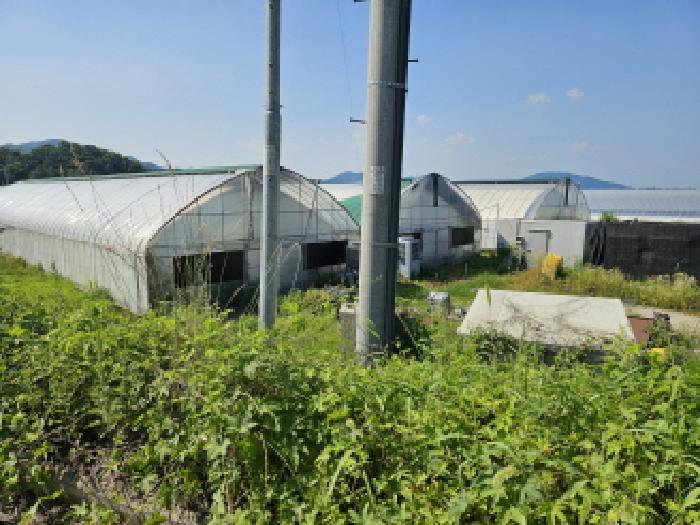 충북 음성군 생극면 답 경매 물건 사진 4 · 2025타경1425