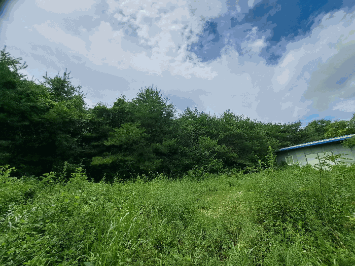 충북 충주시 중앙탑면 전 경매 물건 사진 5 · 2025타경1531