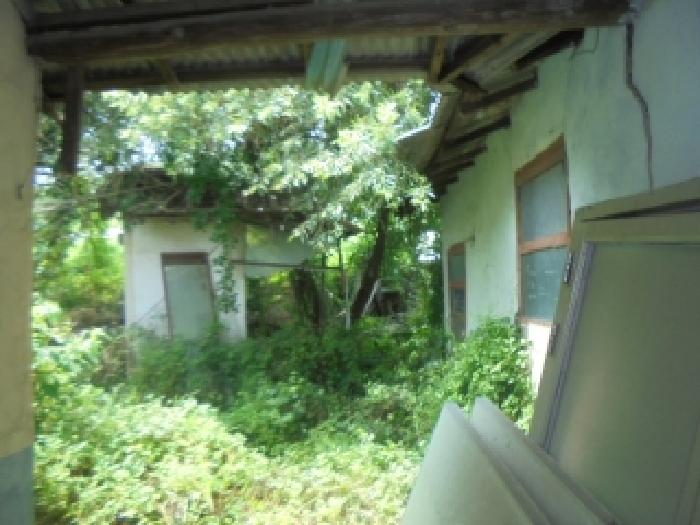 충북 충주시 신니면 단독주택 경매 물건 사진