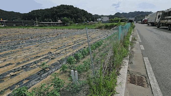 충북 충주시 대소원면 답 경매 물건 사진 5 · 2025타경1838