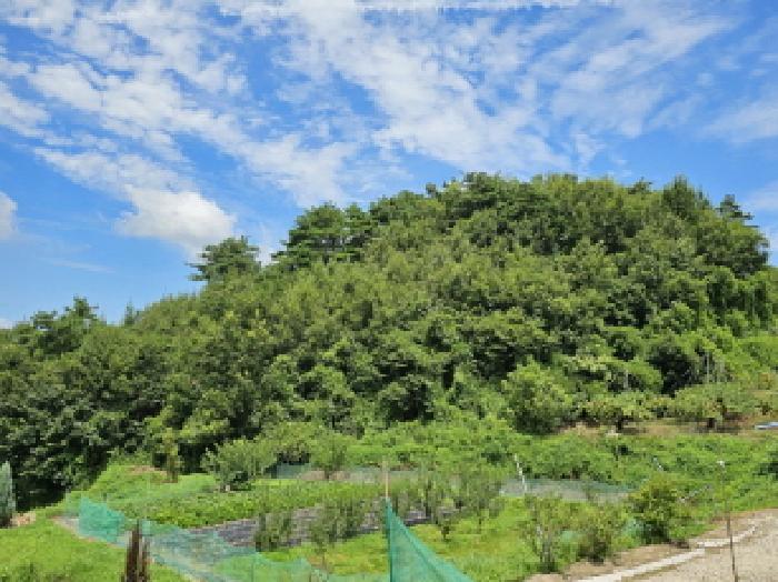 충북 음성군 음성읍 대지,임야,전답 경매 물건 사진