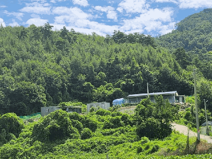 충북 음성군 음성읍 대지,임야,전답 경매 물건 사진 5 · 2025타경1852