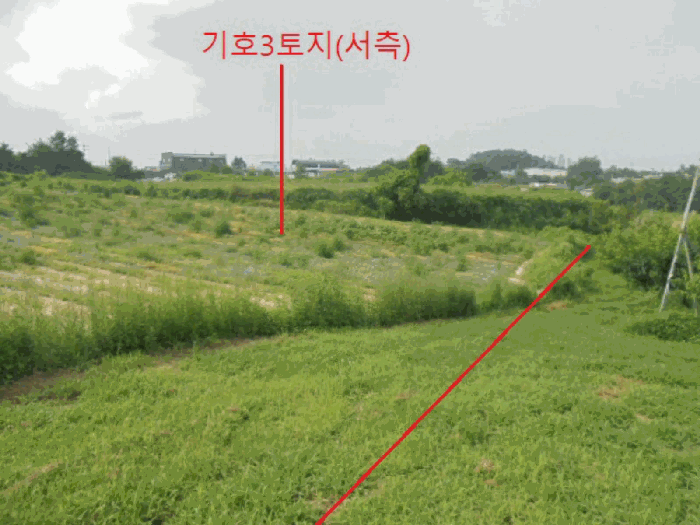 충북 음성군 삼성면 대지,임야,전답 경매 물건 사진 6 · 2025타경1937