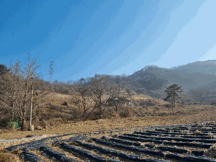 충북 충주시 소태면 임야 경매 물건 사진