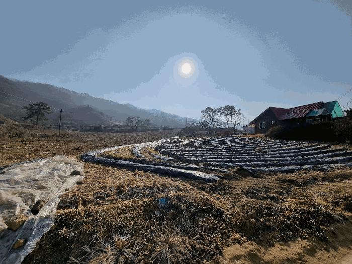 충북 충주시 소태면 임야 경매 물건 사진 6 · 2025타경194
