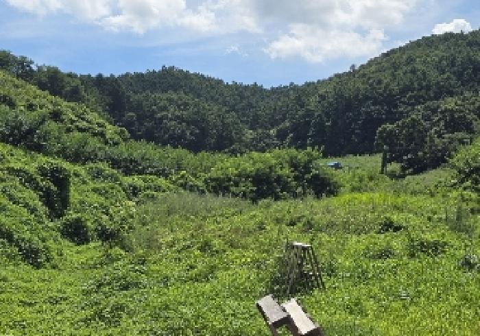 충북 음성군 감곡면 과수원 경매 물건 사진