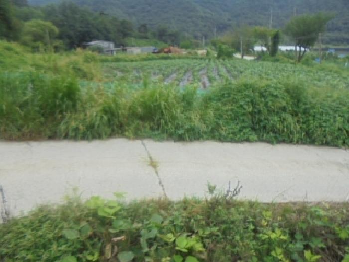 충북 음성군 원남면 전 경매 물건 사진