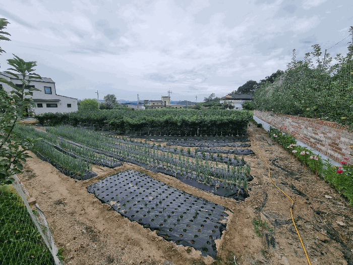 충북 충주시 동량면 전답 경매 물건 사진 4 · 2025타경2084