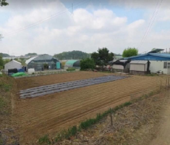 충북 음성군 금왕읍 대지 경매 물건 사진