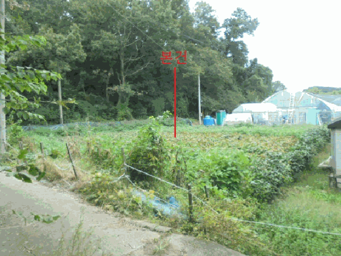 충북 음성군 금왕읍 대지 경매 물건 사진 2 · 2025타경2176