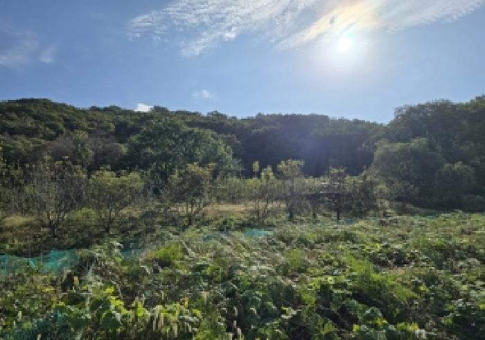 충북 음성군 원남면 전 경매 물건 사진 2 · 2025타경2312