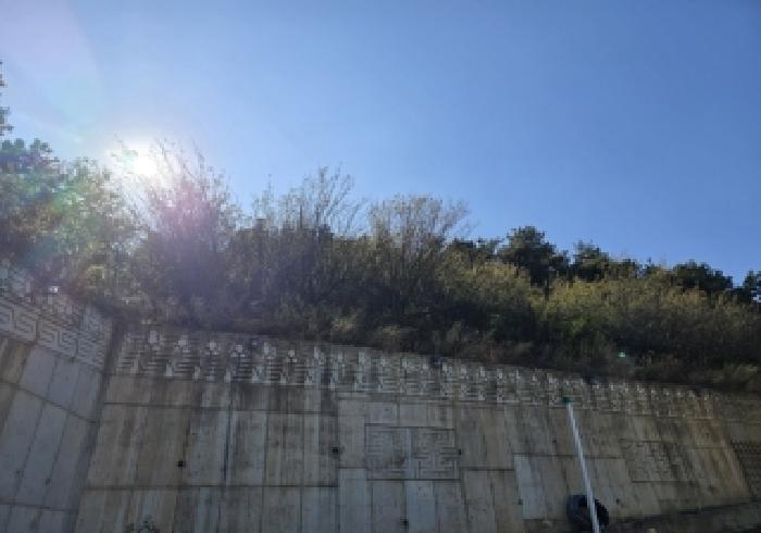 충북 충주시 대소원면 과수원 경매 물건 사진 6 · 2025타경2329