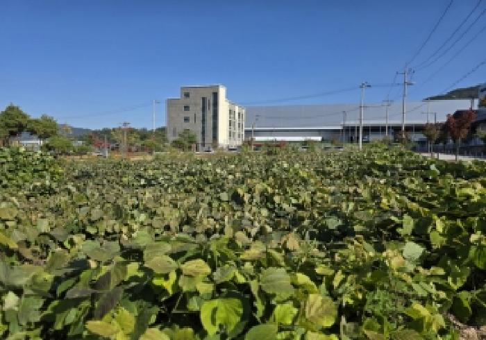 충북 충주시 용탄동 주차장 경매 물건 사진