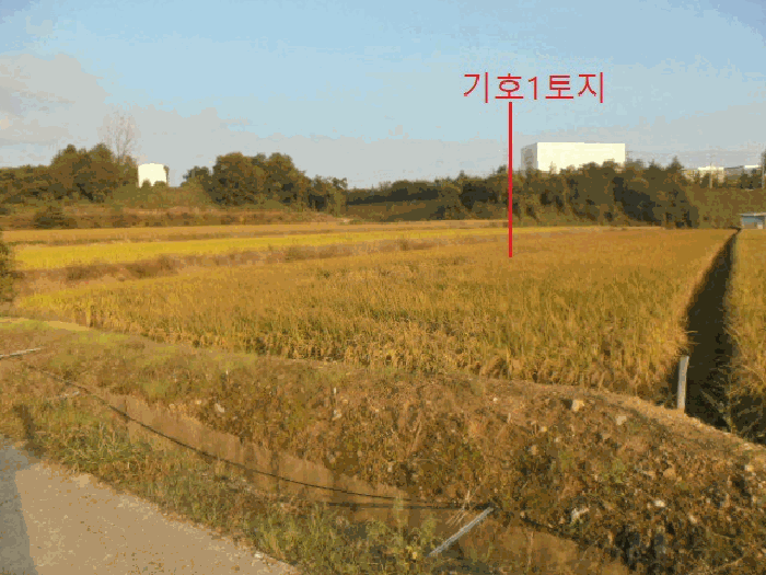 충북 음성군 대소면 답 경매 물건 사진 3 · 2025타경2381