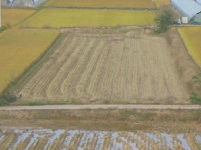 충북 음성군 대소면 답 경매 물건 사진 2 · 2025타경2381
