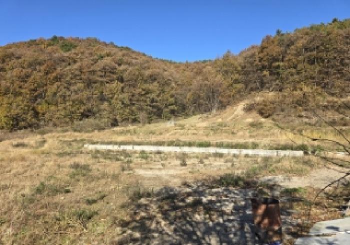 충북 음성군 금왕읍 전 경매 물건 사진 2 · 2025타경2411