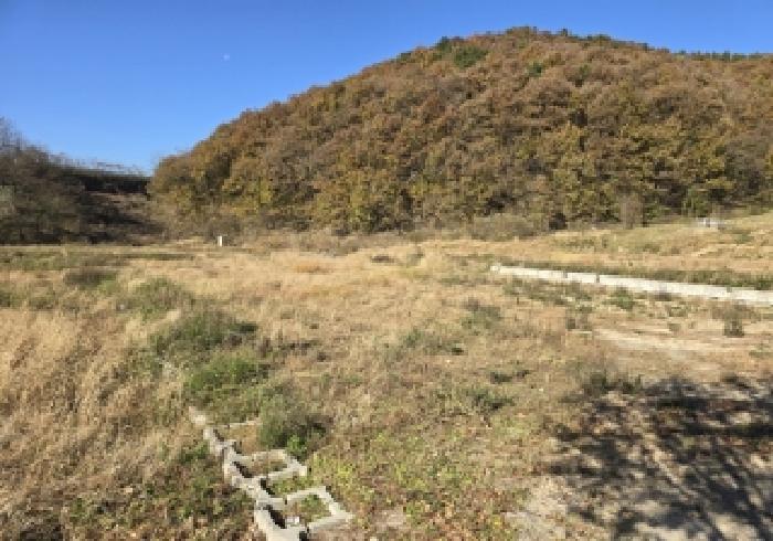 충북 음성군 금왕읍 전 경매 물건 사진 3 · 2025타경2411