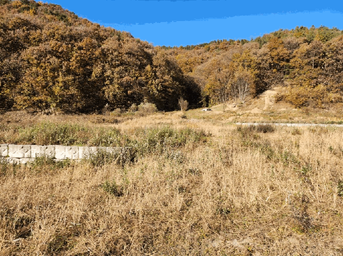충북 음성군 금왕읍 전 경매 물건 사진 5 · 2025타경2411