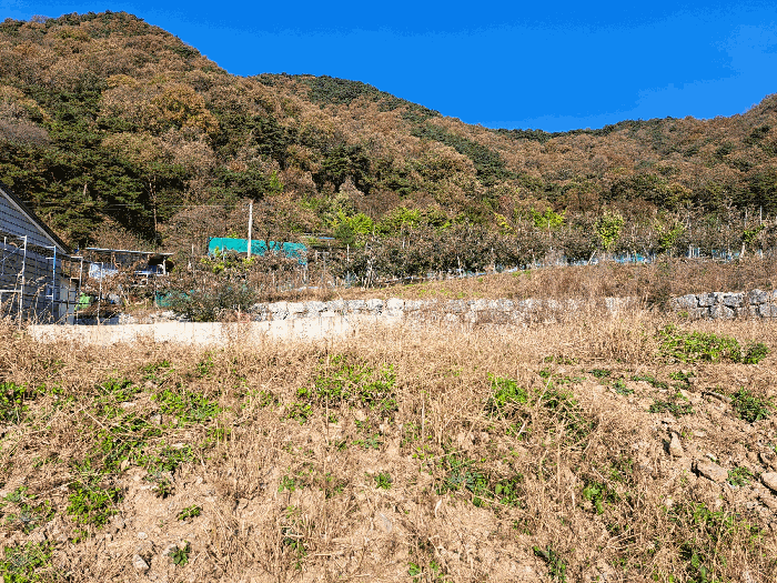 충북 충주시 살미면 대지,임야,전답 경매 물건 사진 5 · 2025타경2435