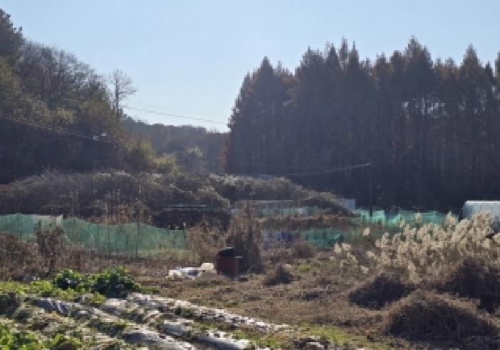충북 충주시 목행동 답 경매 물건 사진