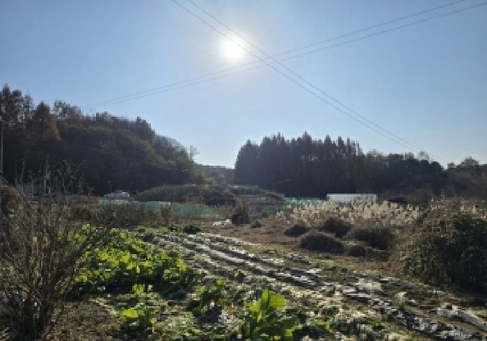 충북 충주시 목행동 답 경매 물건 사진 2 · 2025타경2442