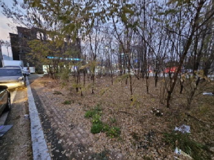 충북 음성군 금왕읍 대지,임야,전답 경매 물건 사진