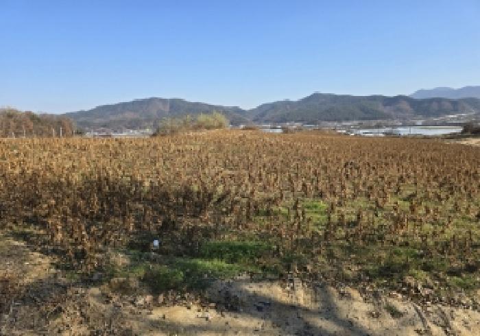 충북 음성군 금왕읍 대지,임야,전답 경매 물건 사진