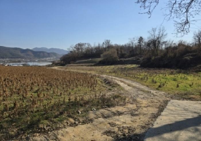 충북 음성군 금왕읍 대지,임야,전답 경매 물건 사진 2 · 2025타경2534