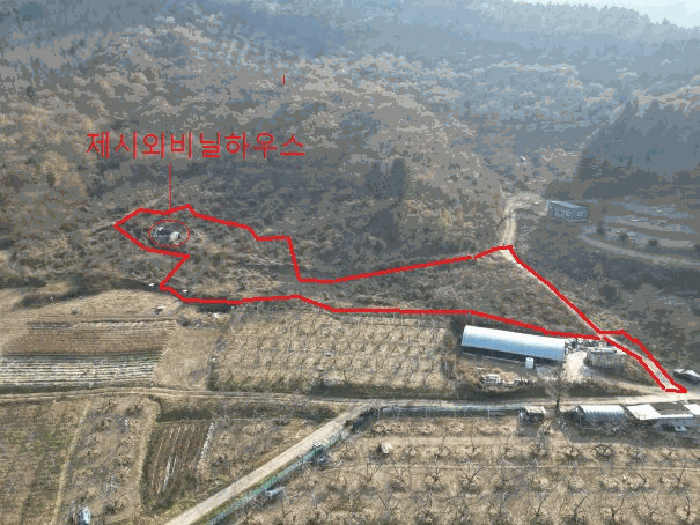 충북 충주시 수안보면 전 경매 물건 사진 6 · 2025타경2602