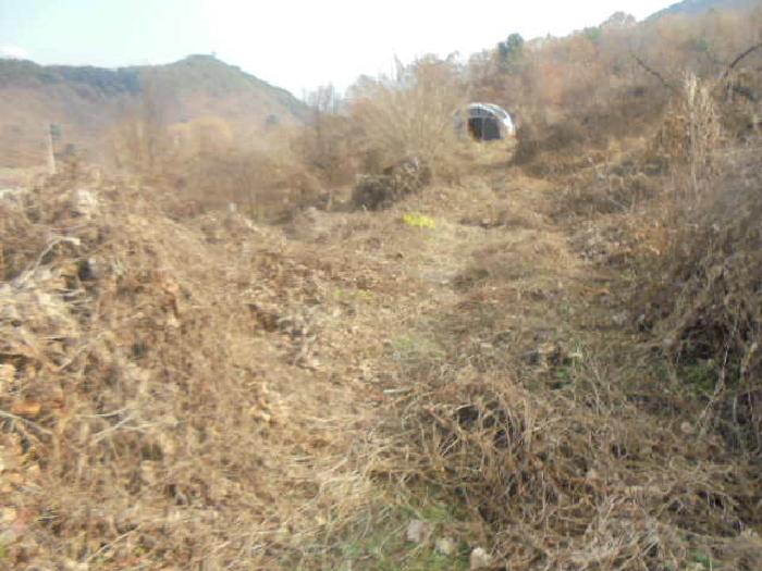 충북 충주시 수안보면 전 경매 물건 사진