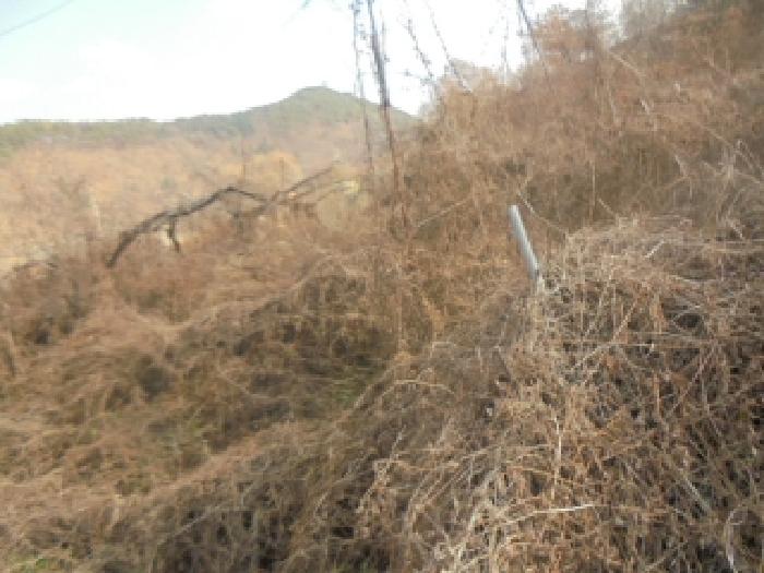 충북 충주시 수안보면 전 경매 물건 사진 2 · 2025타경2602
