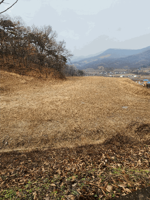 충북 음성군 소이면 전답 경매 물건 사진 6 · 2025타경2688
