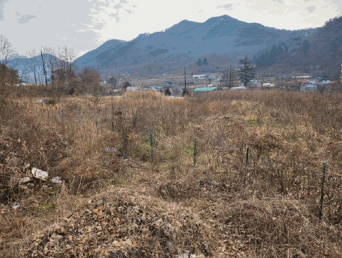 충북 충주시 수안보면 전 경매 물건 사진 3 · 2025타경2718