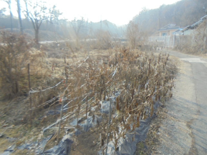 충북 충주시 신니면 하천 경매 물건 사진 2 · 2025타경30171