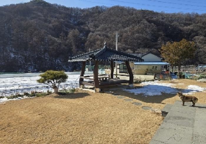 충북 충주시 살미면 전 경매 물건 사진 6 · 2025타경30201