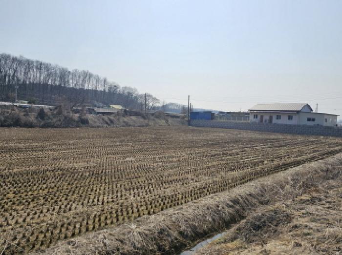 충북 음성군 금왕읍 답 경매 물건 사진