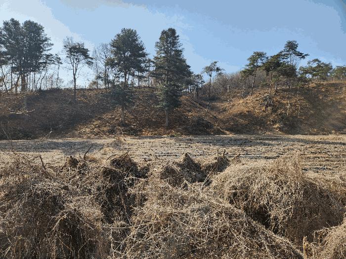 충북 충주시 앙성면 답 경매 물건 사진
