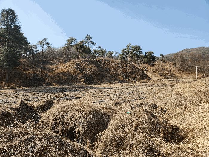 충북 충주시 앙성면 답 경매 물건 사진 3 · 2025타경30399