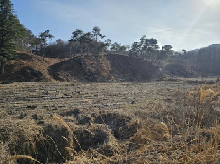충북 충주시 앙성면 답 경매 물건 사진 2 · 2025타경30399