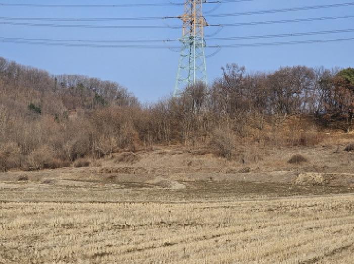 충북 충주시 앙성면 답 경매 물건 사진 4 · 2025타경30399