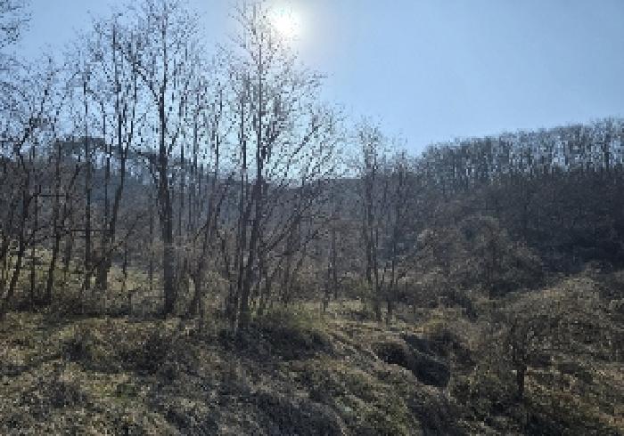 충북 충주시 엄정면 답 경매 물건 사진 2 · 2025타경30400
