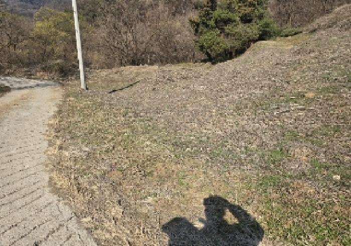 충북 충주시 엄정면 답 경매 물건 사진 3 · 2025타경30400