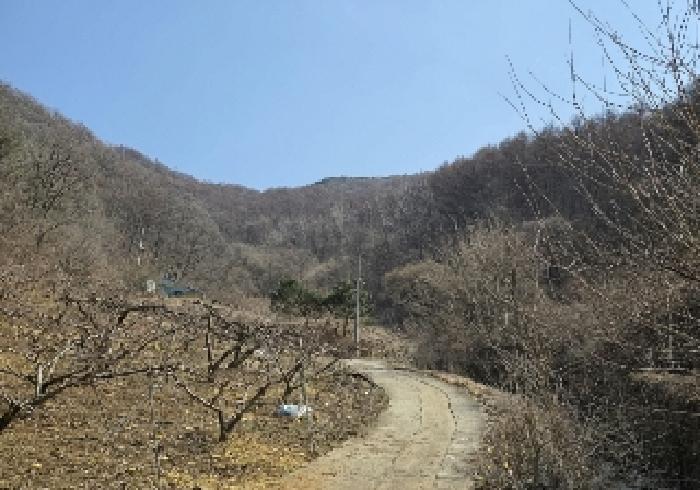 충북 충주시 살미면 임야 경매 물건 사진 4 · 2025타경30406
