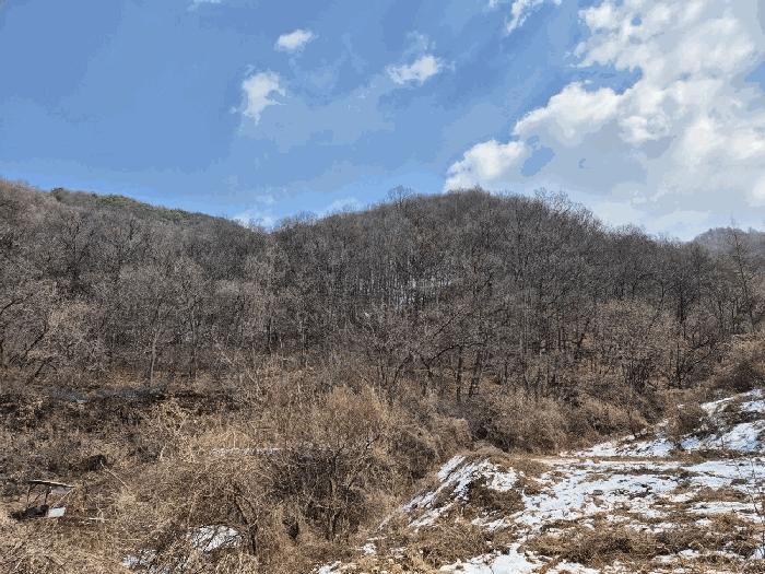 충북 충주시 살미면 임야 경매 물건 사진