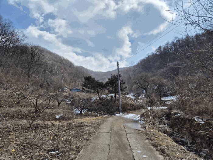 충북 충주시 살미면 임야 경매 물건 사진 3 · 2025타경30406