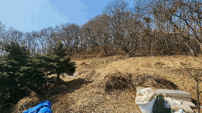 충북 음성군 생극면 임야 경매 물건 사진 6 · 2025타경30409