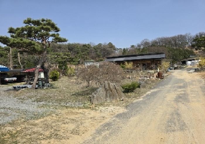 충북 음성군 대소면 대지 경매 물건 사진